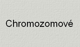 chromozomov